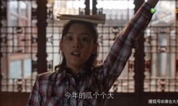 吃瓜黑料精品一区 娱乐圈吃瓜代号,吃瓜黑料精品一区，独家代号背后的秘密